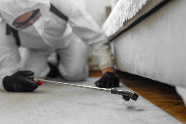 Professional Termite Control technician working in Windsor, IL