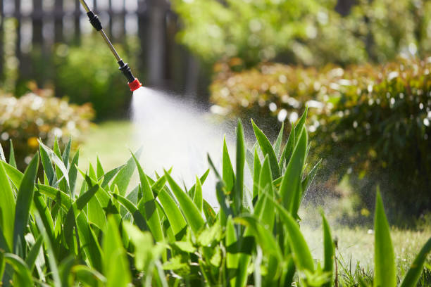 24/7 Emergency Termite Control experts in Windsor, IL
