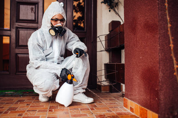 Reliable Termite Control contractor in Windsor, IL by Nex Pest Control